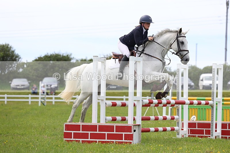 3E7A1816 - Class 13: Senior British Novice/90cm open