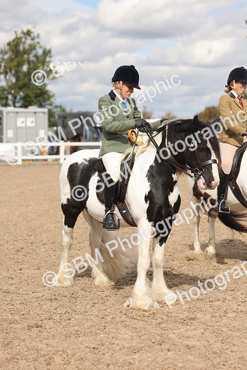 SBM_14692 - Class 307 - Ridden Coloured Pony