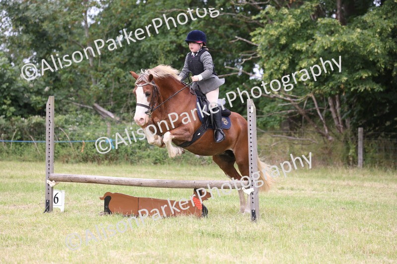 20260614-3085 - Class 22 - Open Working Hunter