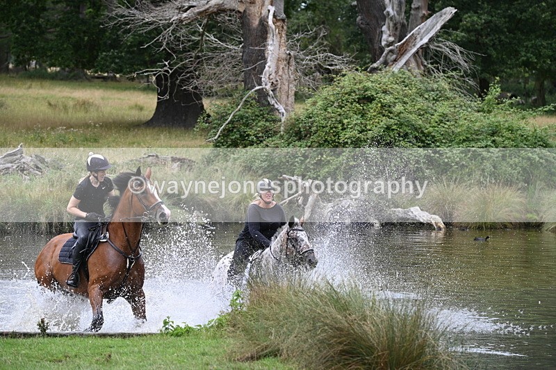 WJ7_2777 - Time at Water 11:37 to 12:13