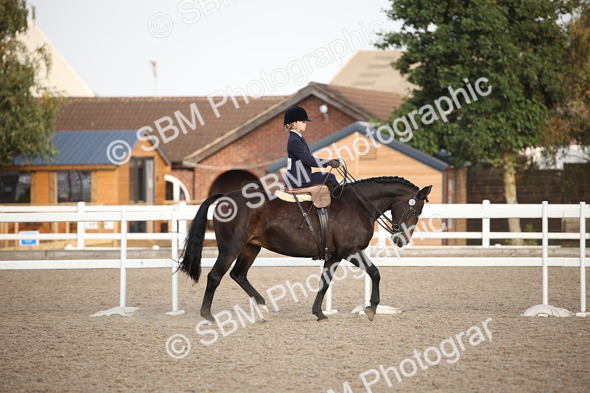 SBM_09190 - Regional Ridden Champ