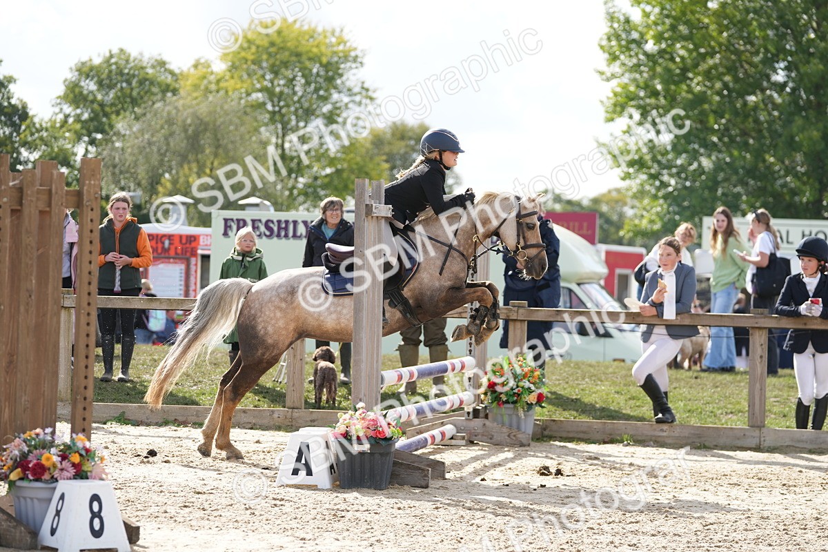 SBM_48552 - J7 - Junior Pony 60cm Championship