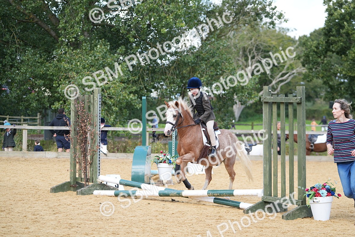 SBM_64312 - J2 - Mini Tour Junior Pony 30cm Championship