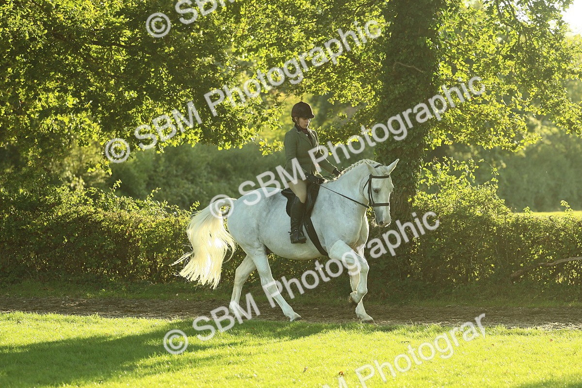 SBM_55572 - S14 - Riding Club Horse