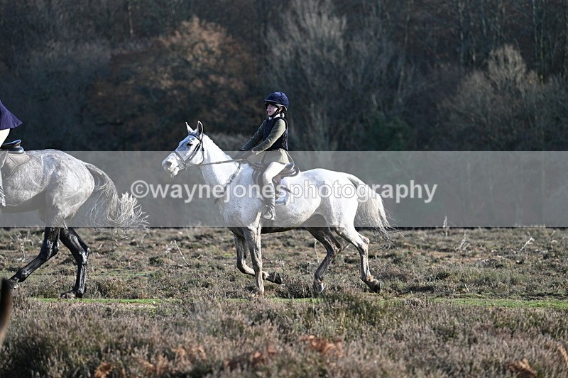 WJ7_7980 - Line 3 (no line 4 or 5)