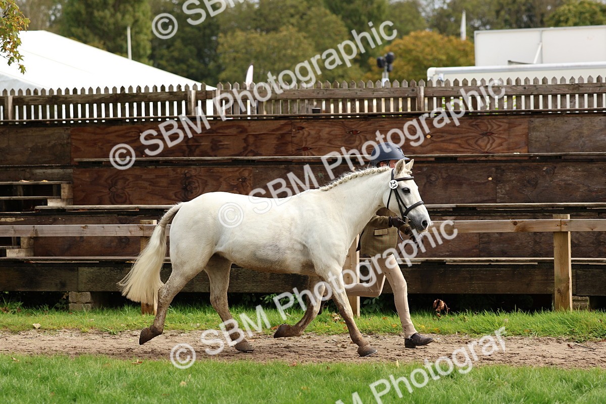 SBM_40732 - S25 -  Veteran In Hand