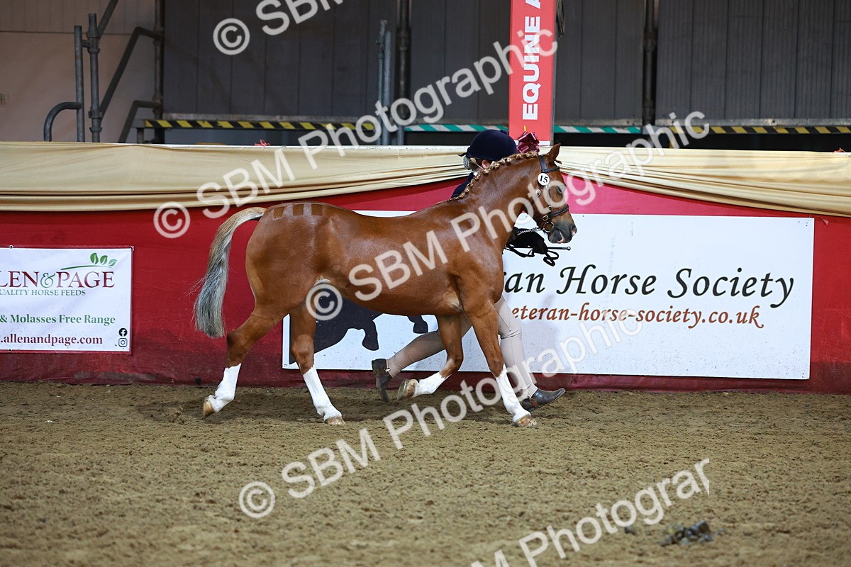 SBM_14876 - Class F - IH Small Champ