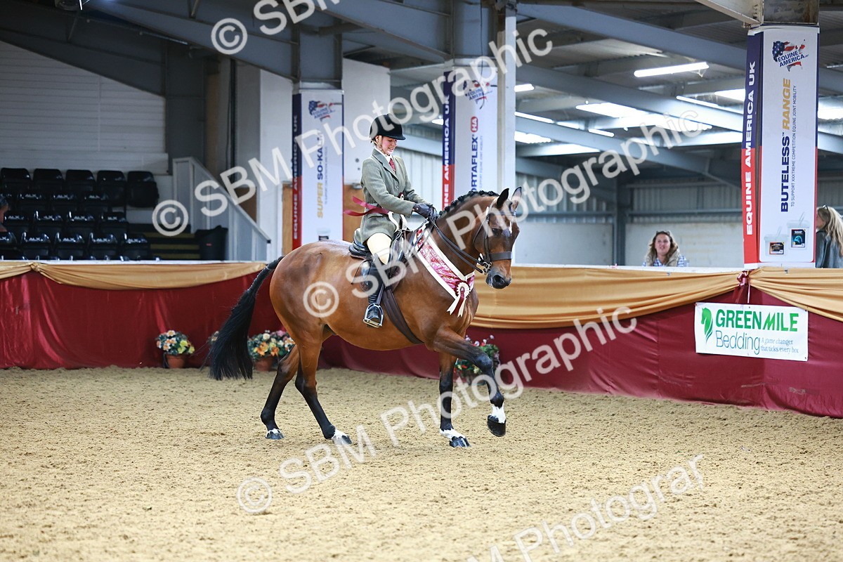 SBM_23212 - Class 905 - Supreme Final - Ridden Veteran