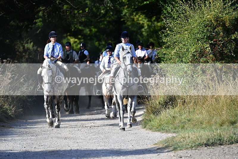 WJ5_4873 - Walk out with the hounds