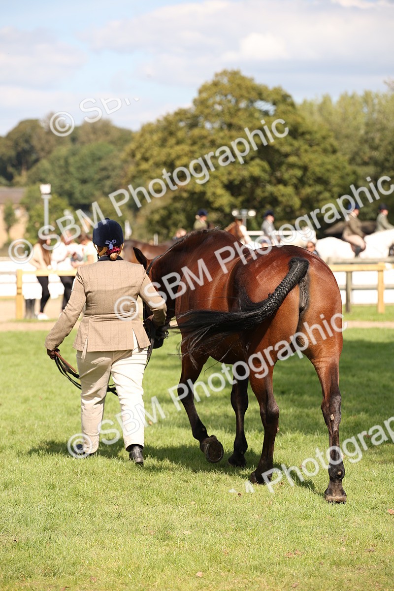 SBM_44461 - S24 - Young Veteran in hand