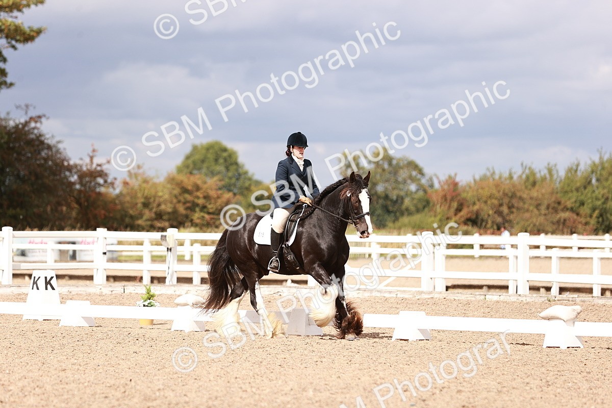 SBM_06199 - Class 37 - Novice 5