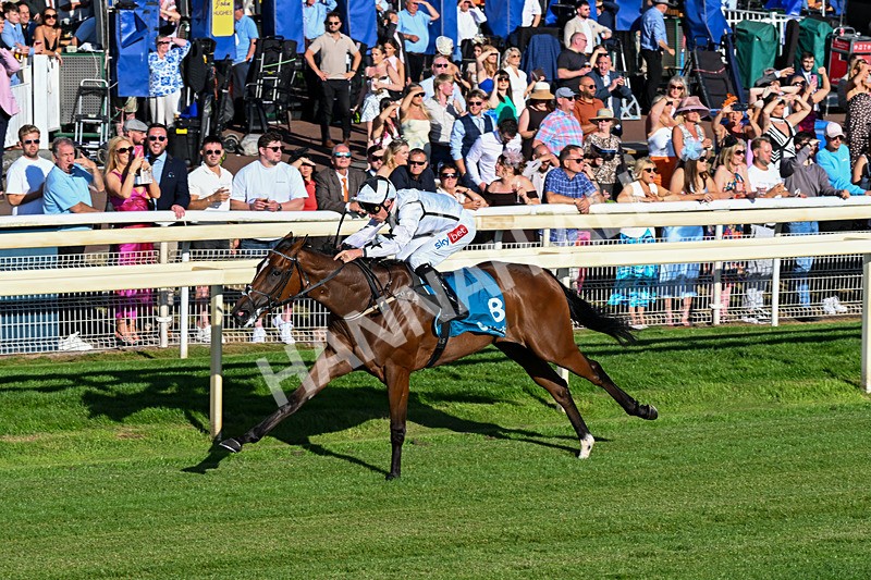240726-Race 3-Coral Cove-0334 - Race 3 18.40pm Ire-Incentive, It Pays To Buy Irish EBF Restricted Novice