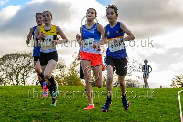 NatRel25-913144 - Young Female Set One