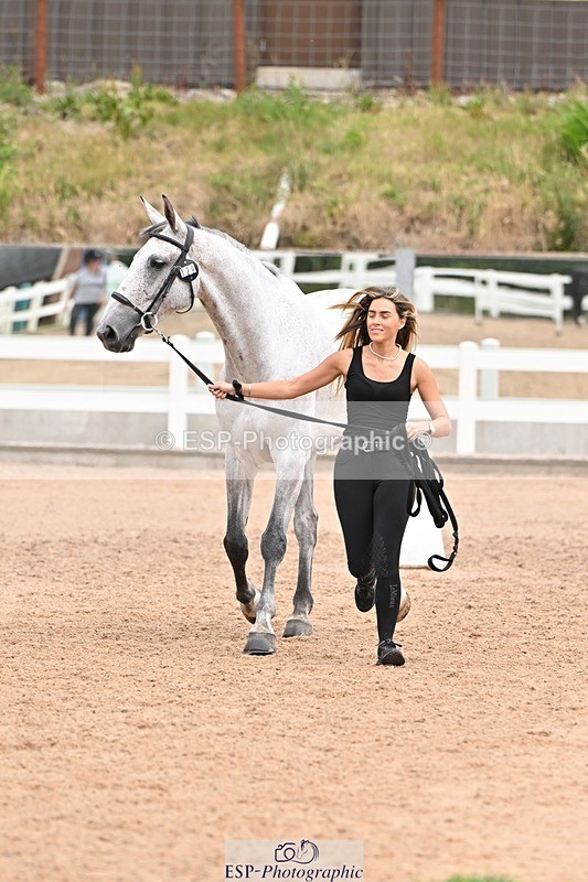 250716-144552-01370 - Trot Up 2.30 to 3.30