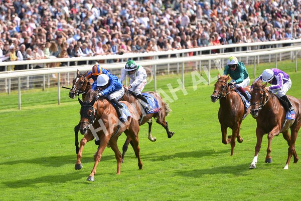 yr18082021r3-72 - Race 3 3.00pm Sky Bet Great Voltigeur Stakes