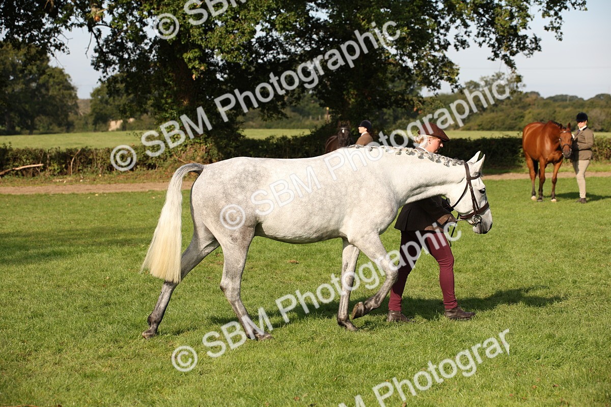SBM_60098 - S53 - Hunter In Hand
