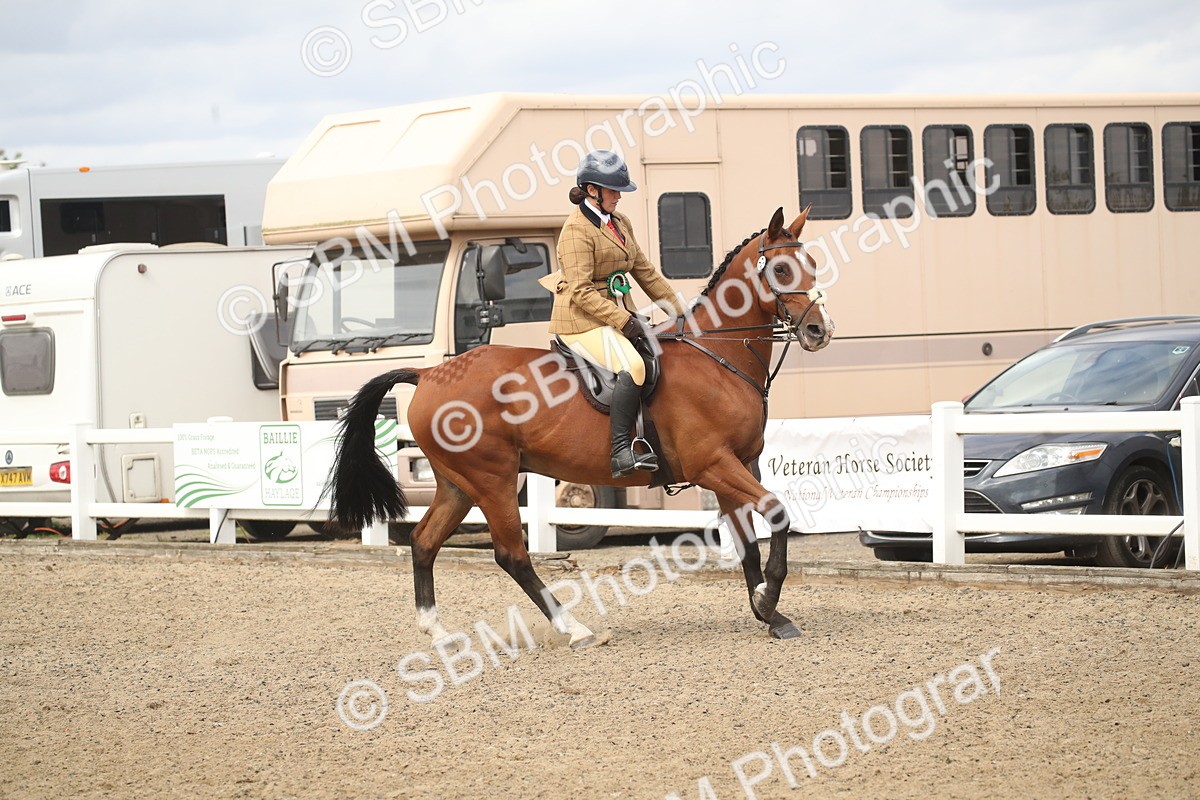 SBM_16584 - Class 506b - Working Veteran - 50cm (20+)