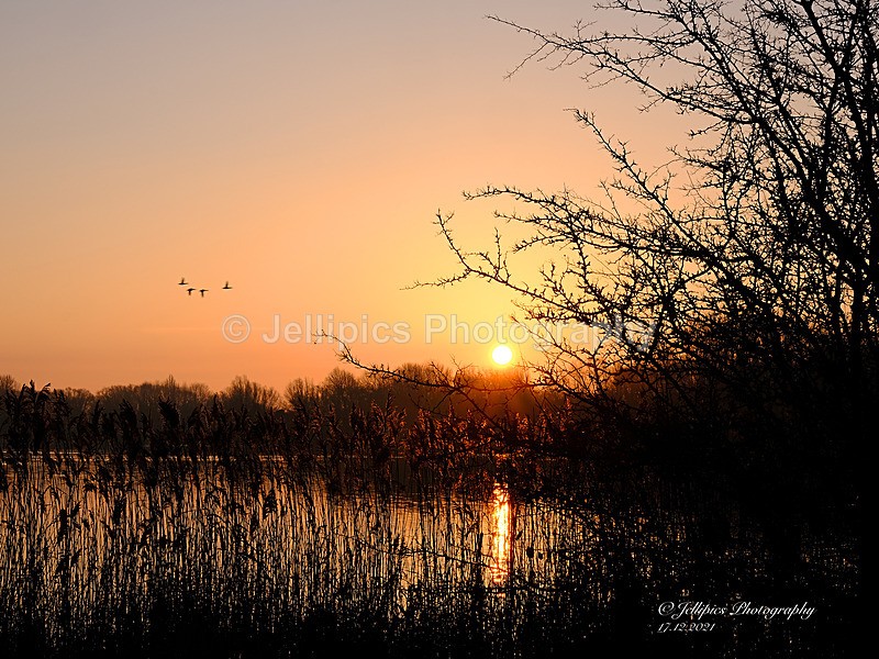  - Landscapes