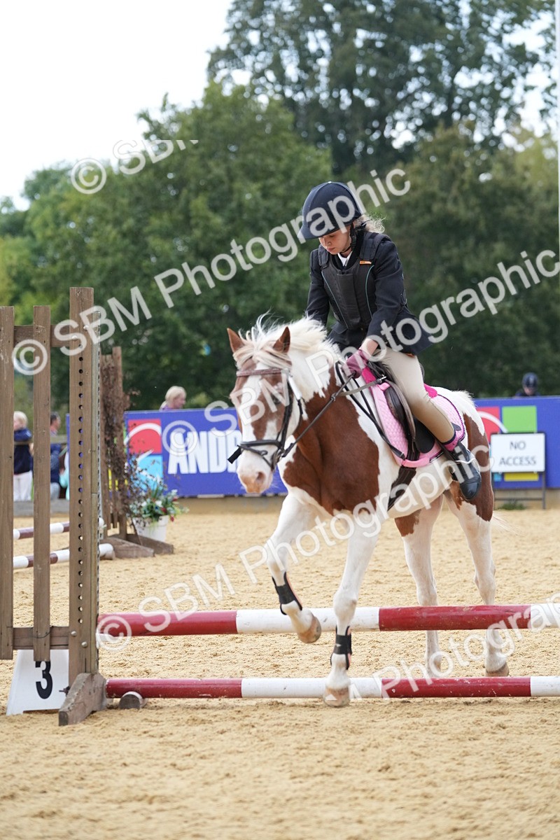 SBM_74668 - J4 - Mini Tour Junior Pony 45cm Championship