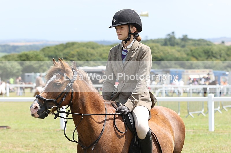 JPP_1873 - Class 18: Tiny Tots Working Hunter Pony