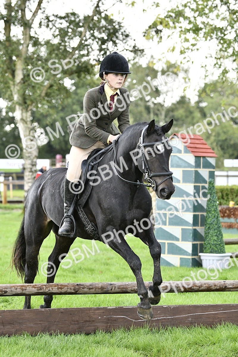 SBM_41512 - S32 - Mountain & Moorland Working Hunter Pony