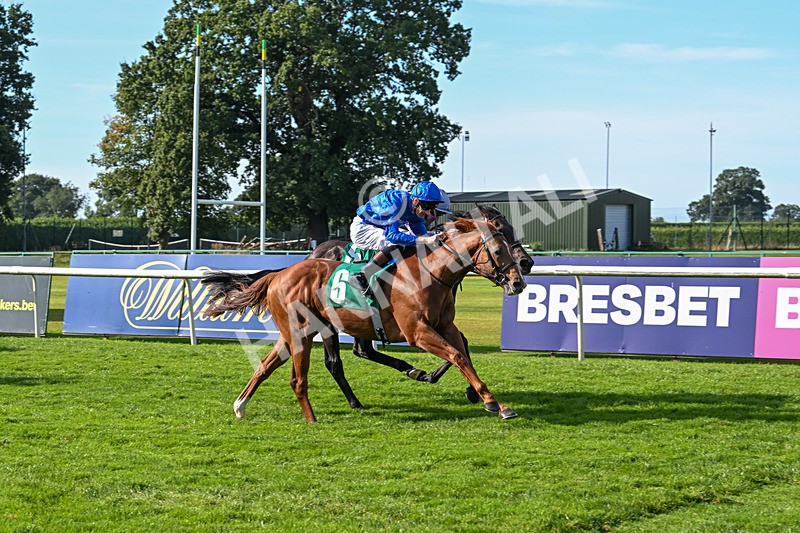 160924-Race 4-Watching Stars-2888 - Race 4