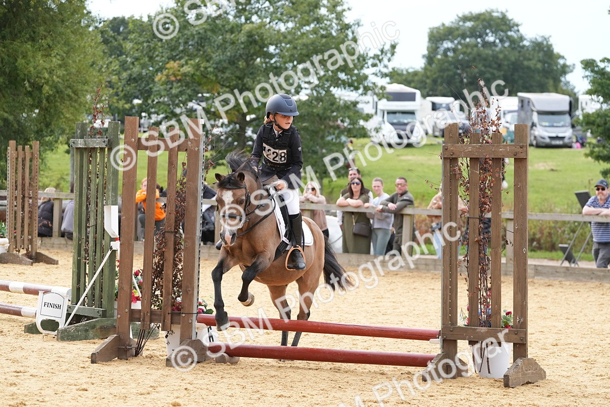 SBM_70600 - J3 - Mini Tour Junior Pony 40cm Championship