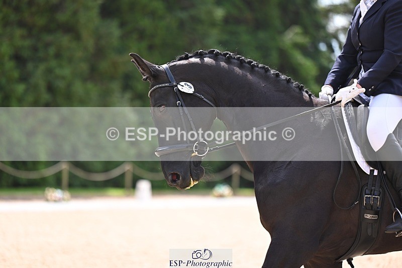 240809-115534-00626 - 233-Jo.Roberts-Majestic.C