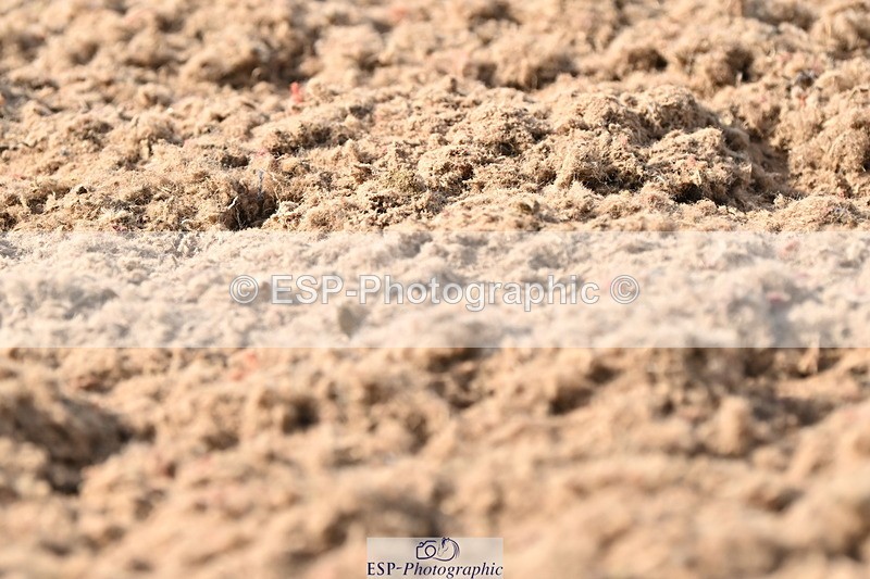 240622A-172839-15320 - Cls 7B+C Elementary 44 RoR