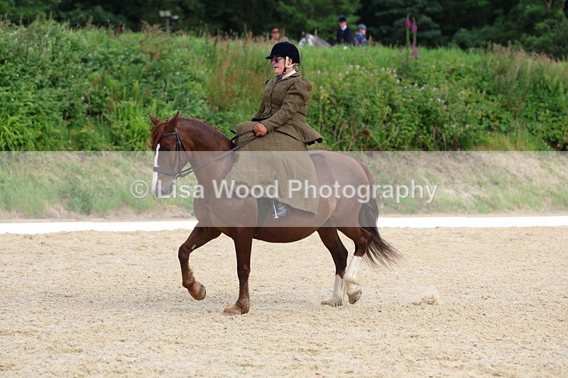 3E7A1605 - Class 2: Intro 2 2024 Section B