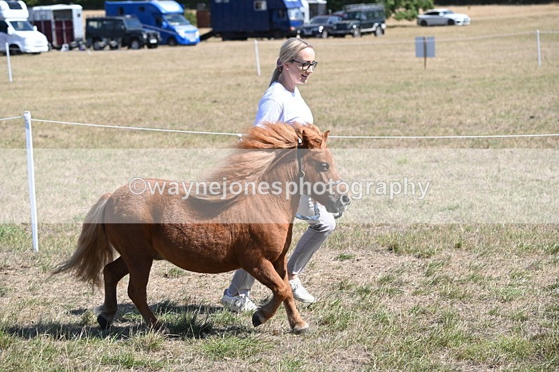 WJ6_9222 - Championship Classes 33-38