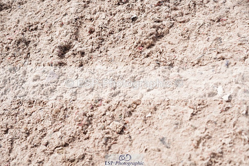 250525-111604-09245 - Cls 32 A&B Snr Brit Nov & 90cm Open