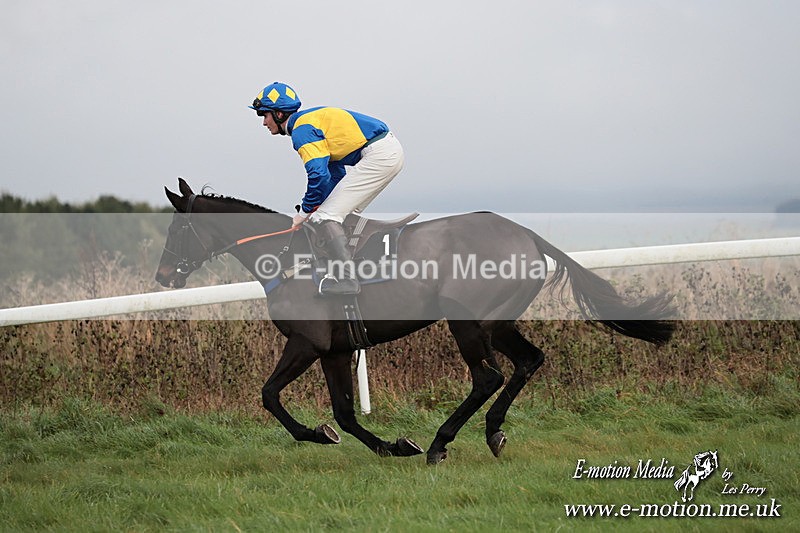 PtP 011224 113 - Hursley Hambledon Point-to-Point Larkhill 01/12/24