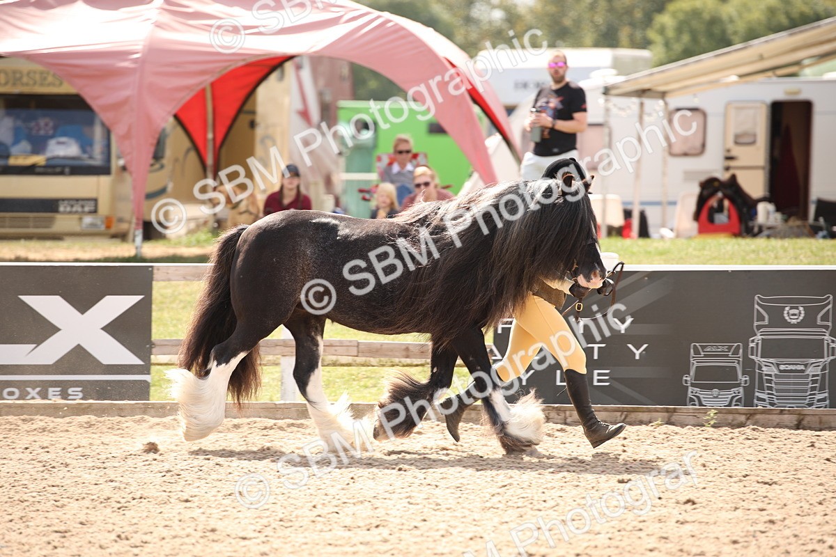 SBM_04534 - Class 20 IH Veteran