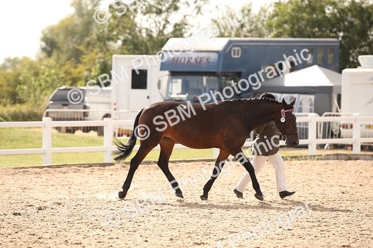 SBM_08176 - Class 27 - IH Competition Horse-Pony