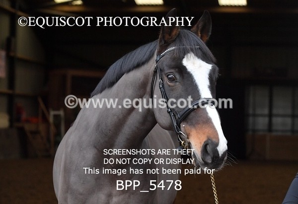 BPP_5478 - Morag Johnston