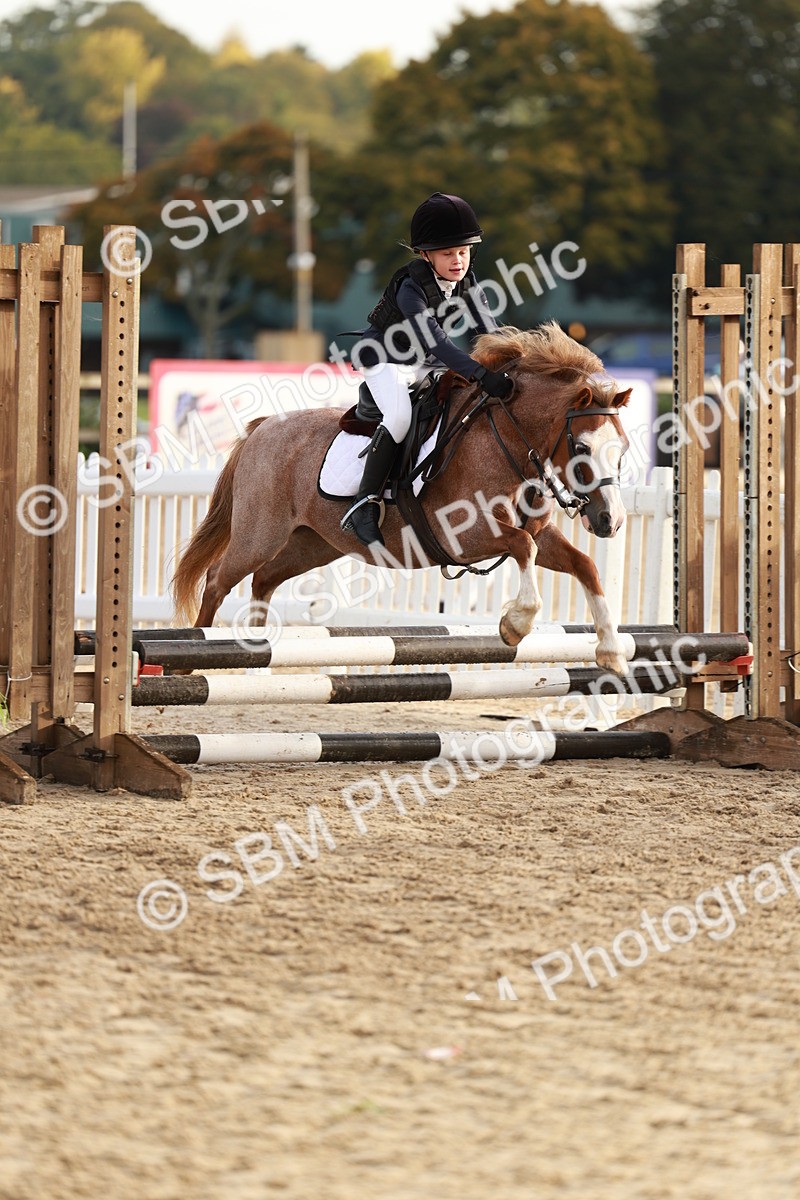 SBM_55544 - J11 - Junior Pony 50cm Championship