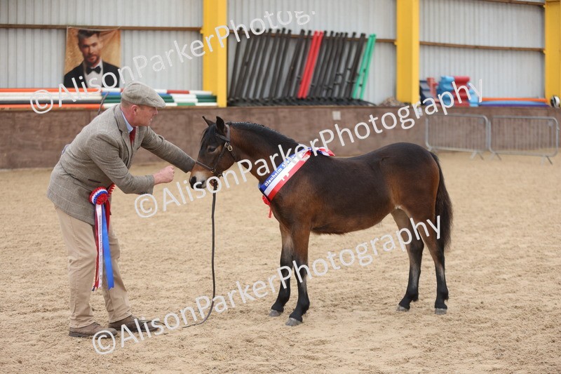 20251109-0716 - Championship