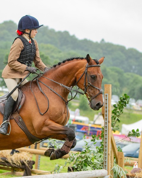 Dunblane show-317 - Dunblane and Doune Show Ring 1