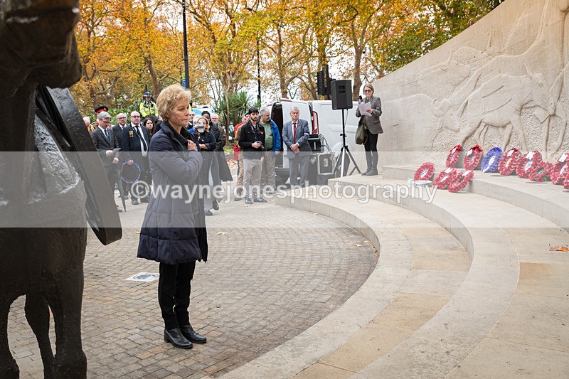 Z62_4644 - Animals In War Memorial 2025 - Park Lane, London