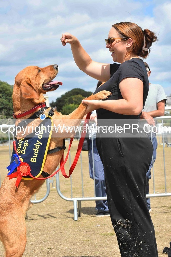 SH4_0249 - Dog show.
