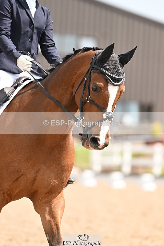 250620-110345-02752 - BD Cls 4 - Novice 5, Start to 11.30am