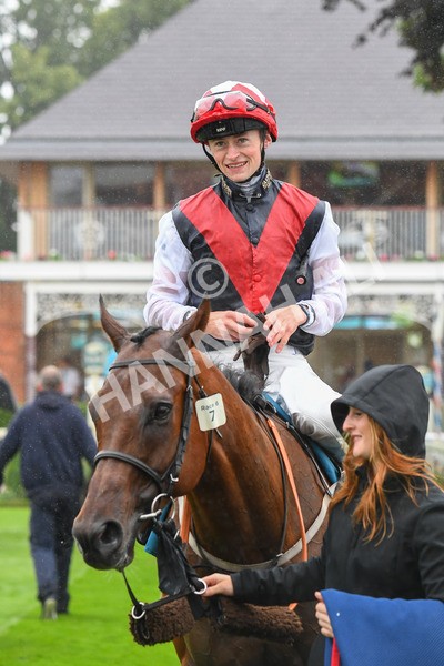 140723-Race 6-Copper Knight-0640 - Race 6 4.55pm Irish Thoroughbred Marketing Handicap