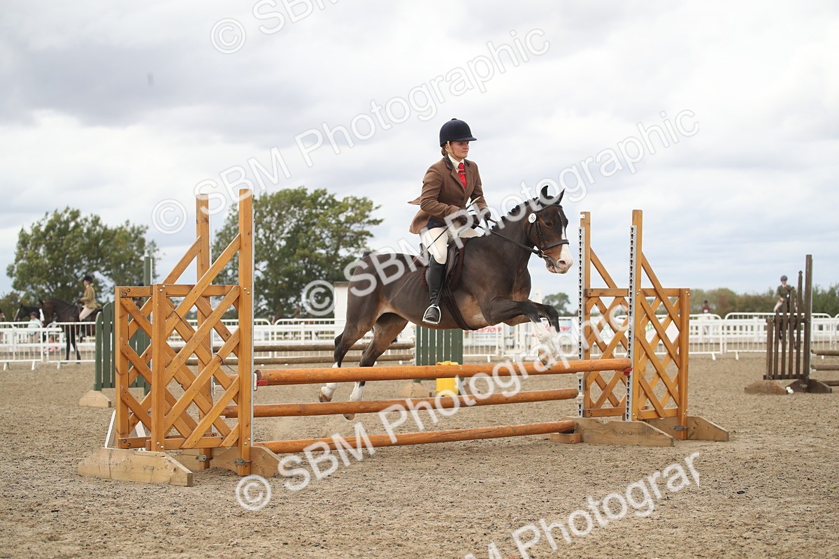 SBM_17920 - Class 508b - Working Veteran 70cm (20+)