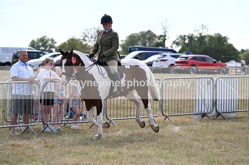 WJ7_7774 - Ridden Championship