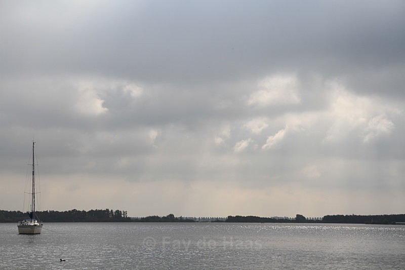 - Home in the Polder