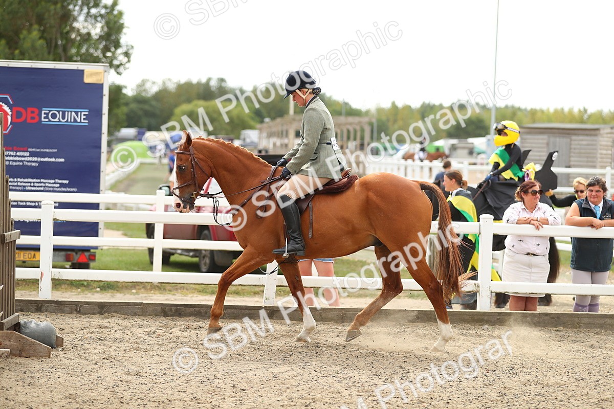 SBM_04812 - Class 46b Style & Performance 50cm (20+)