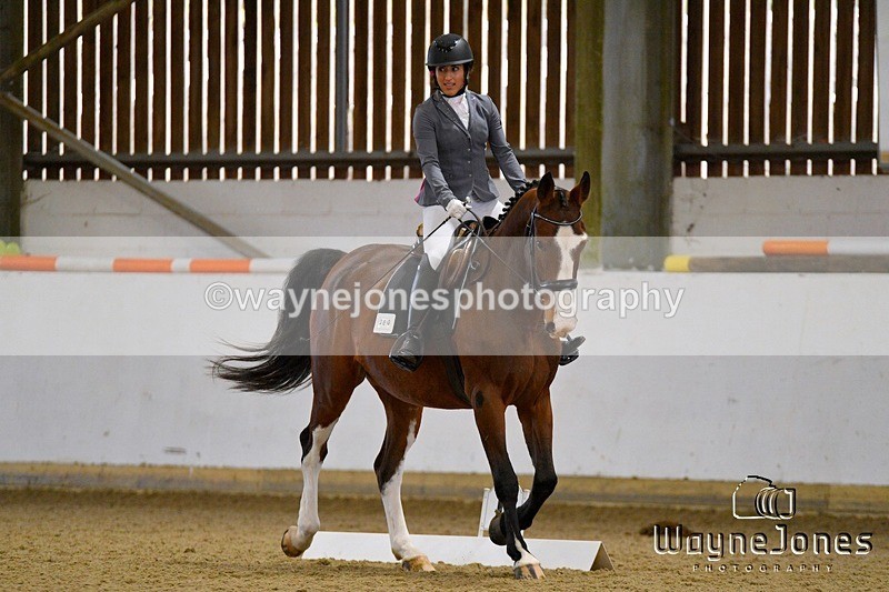 WJ5_6754 - Edited examples