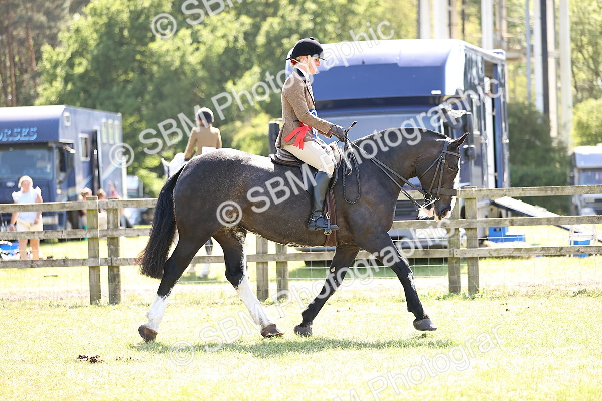 SBM_18124 - Class 81-83 - TSR Ridden Amateur of the Year - Horses