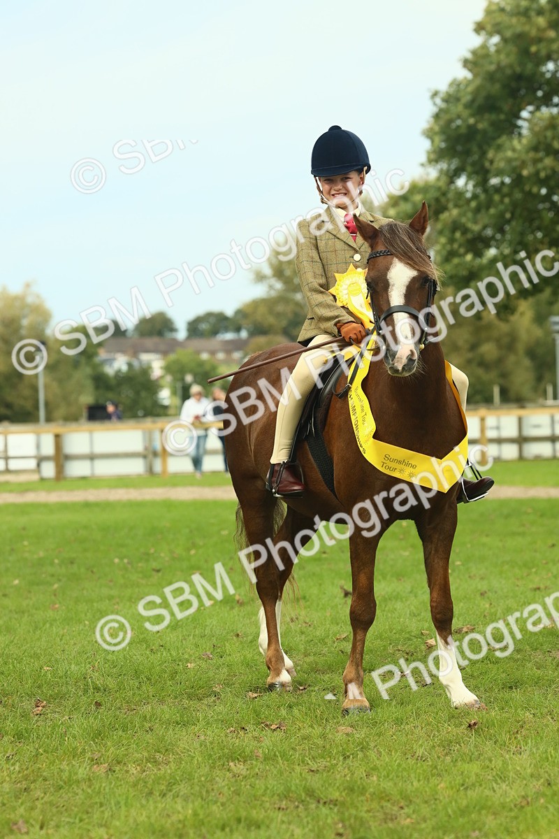 SBM_70024 - S59 - Mountain & Moorland Ridden Small Breeds